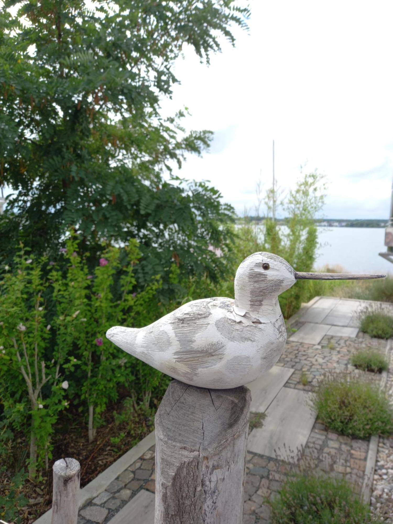 Strandhaus "Knuffeltje" Rotha ภายนอก รูปภาพ